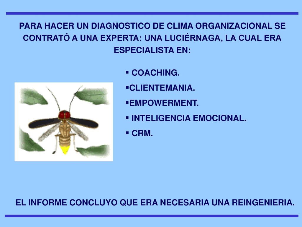 PARA HACER UN DIAGNOSTICO DE CLIMA ORGANIZACIONAL SE CONTRATÓ A UNA EXPERTA: UNA LUCIÉRNAGA, LA CUAL ERA ESPECIALISTA EN: