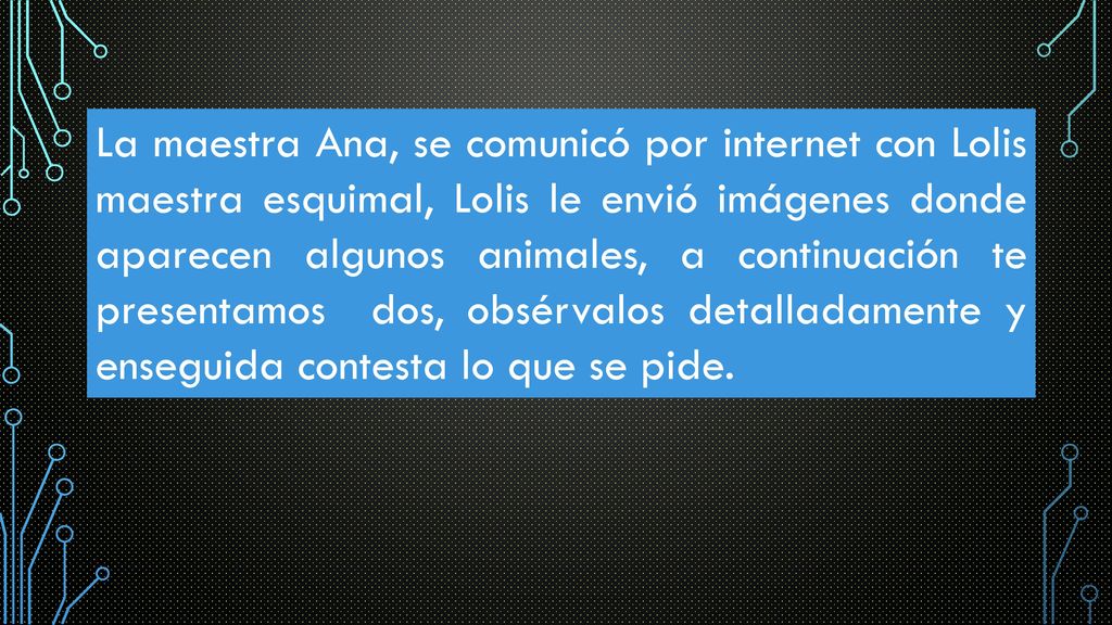 La maestra Ana, se comunicó por internet con Lolis maestra esquimal, Lolis le envió imágenes donde aparecen algunos animales, a continuación te presentamos dos, obsérvalos detalladamente y enseguida contesta lo que se pide.