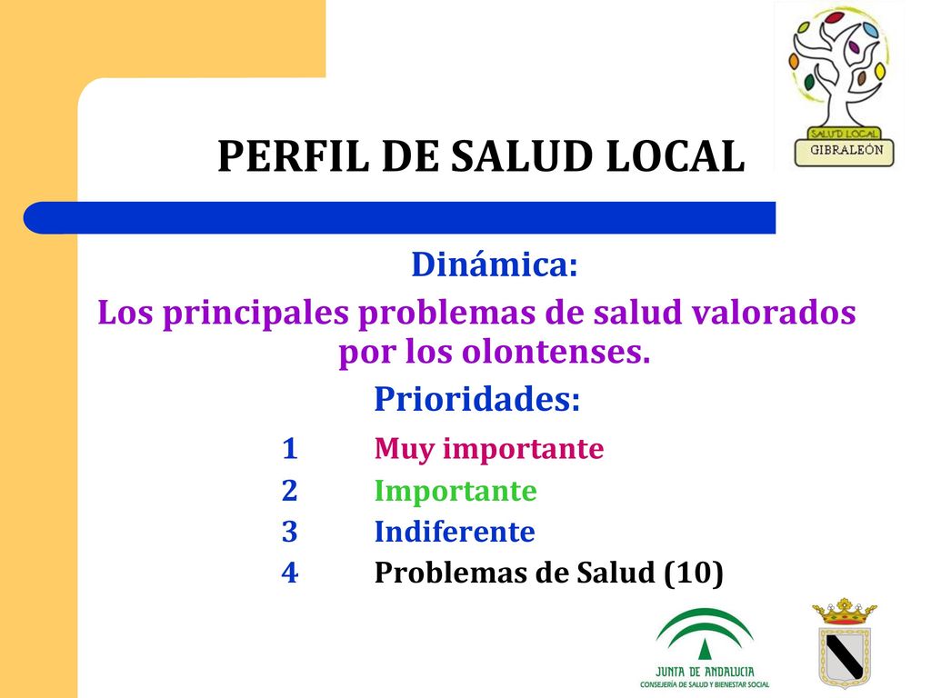 Los principales problemas de salud valorados por los olontenses.