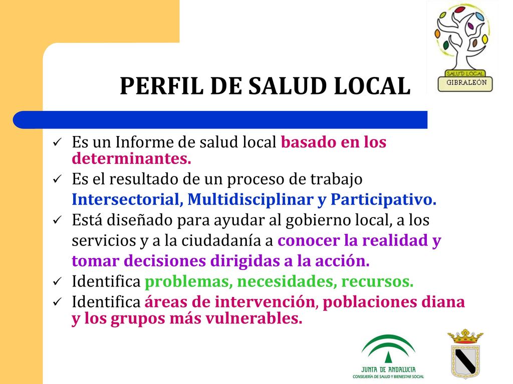 PERFIL DE SALUD LOCAL Es un Informe de salud local basado en los determinantes. Es el resultado de un proceso de trabajo.