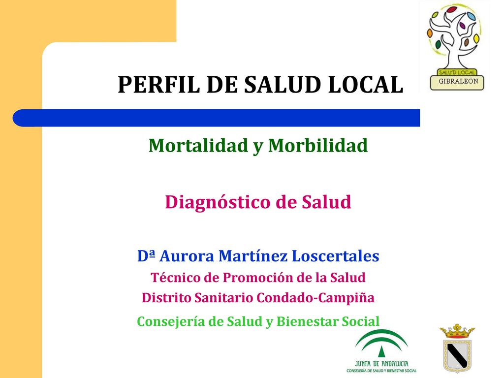 PERFIL DE SALUD LOCAL Mortalidad y Morbilidad Diagnóstico de Salud