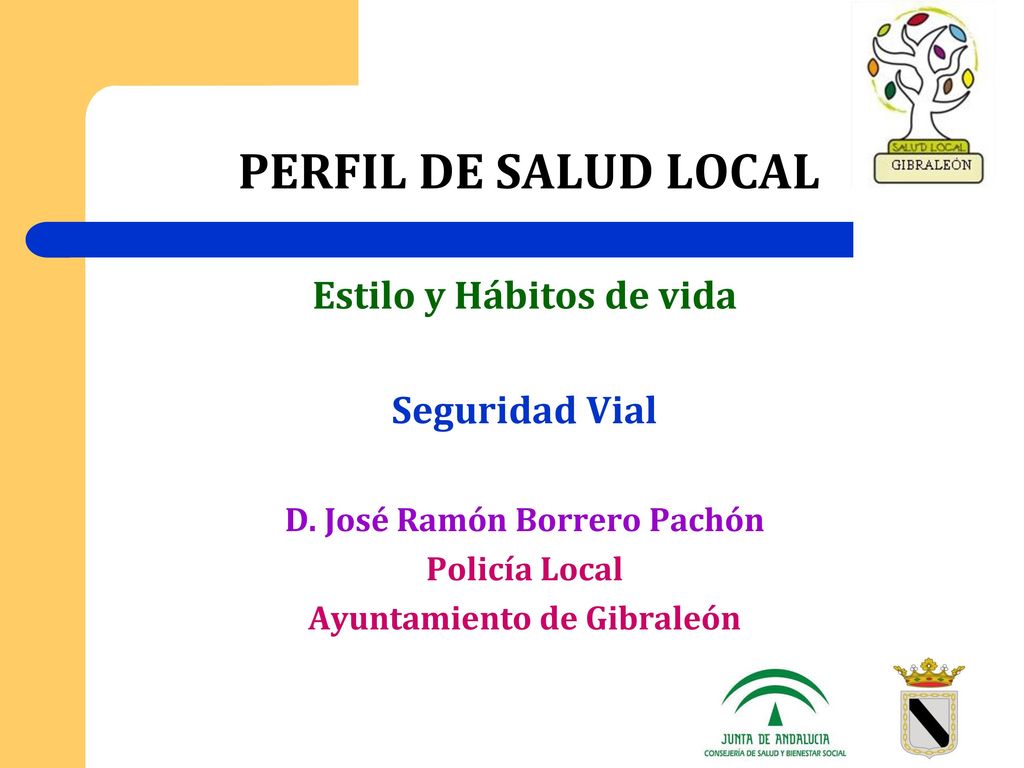 PERFIL DE SALUD LOCAL Estilo y Hábitos de vida Seguridad Vial