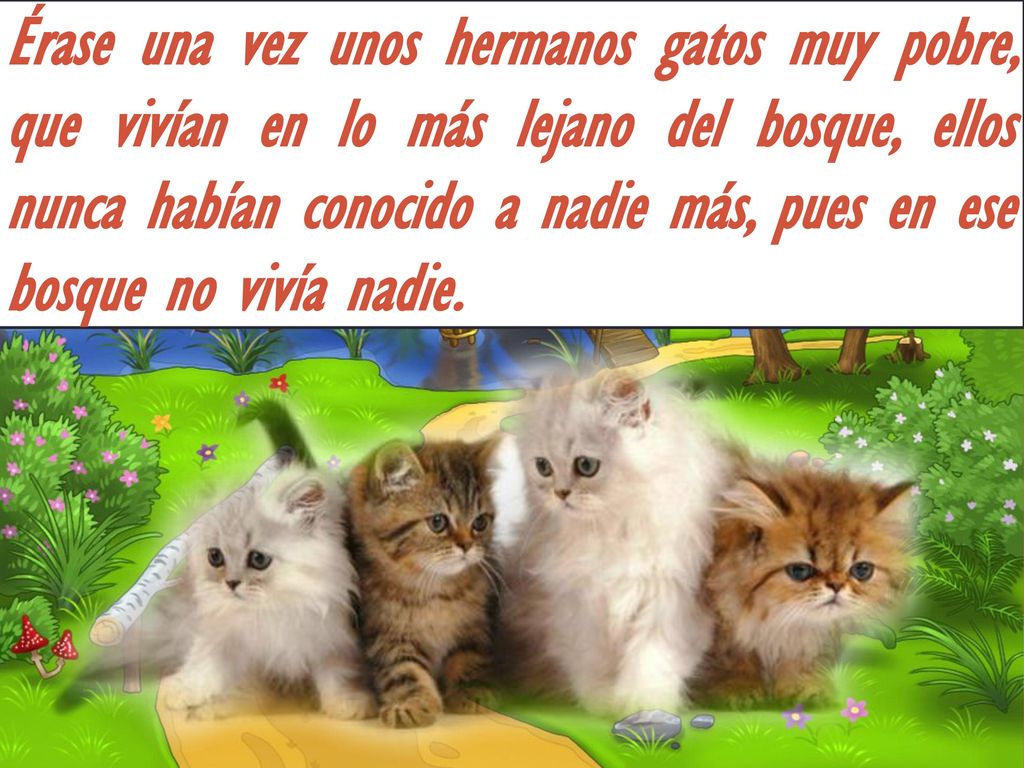 Érase una vez unos hermanos gatos muy pobre, que vivían en lo más lejano del bosque, ellos nunca habían conocido a nadie más, pues en ese bosque no vivía nadie.