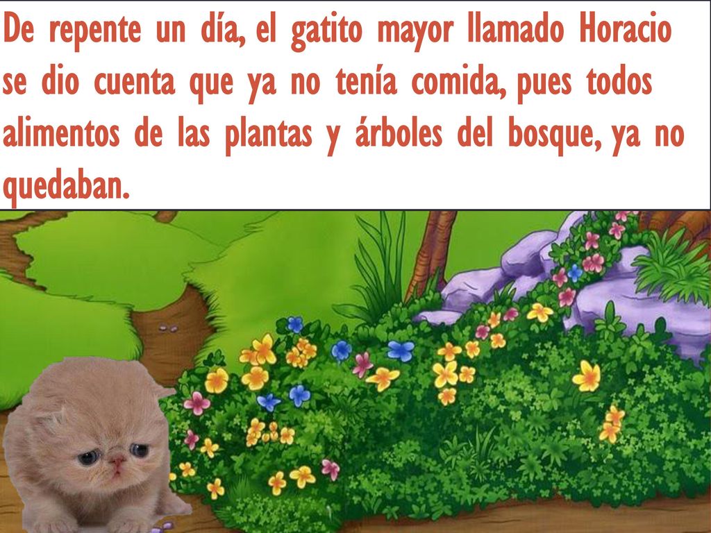 De repente un día, el gatito mayor llamado Horacio se dio cuenta que ya no tenía comida, pues todos alimentos de las plantas y árboles del bosque, ya no quedaban.