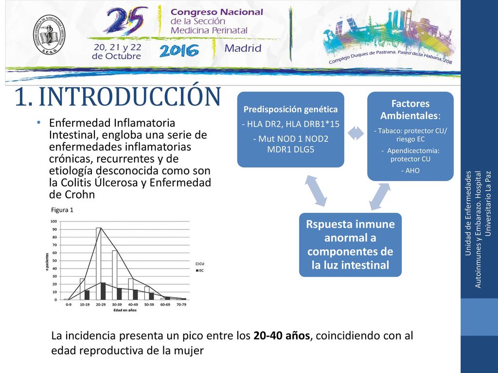 1. INTRODUCCIÓN Rspuesta inmune anormal a componentes de la luz intestinal. Factores Ambientales: - Tabaco: protector CU/ riesgo EC.