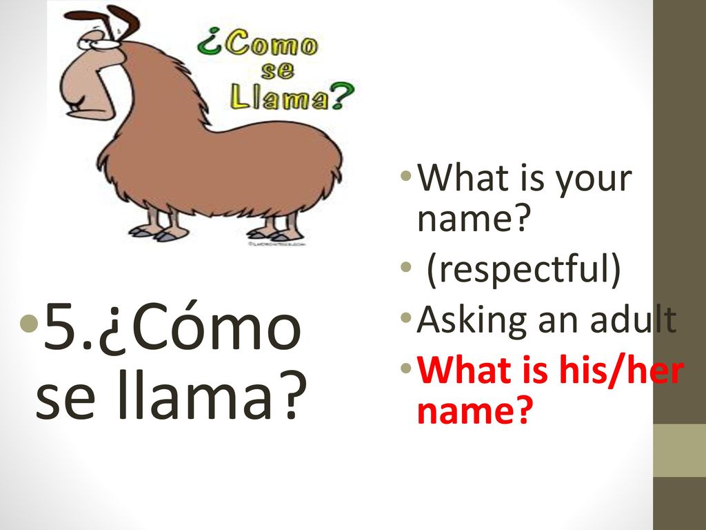 5.¿Cómo se llama What is your name (respectful) Asking an adult
