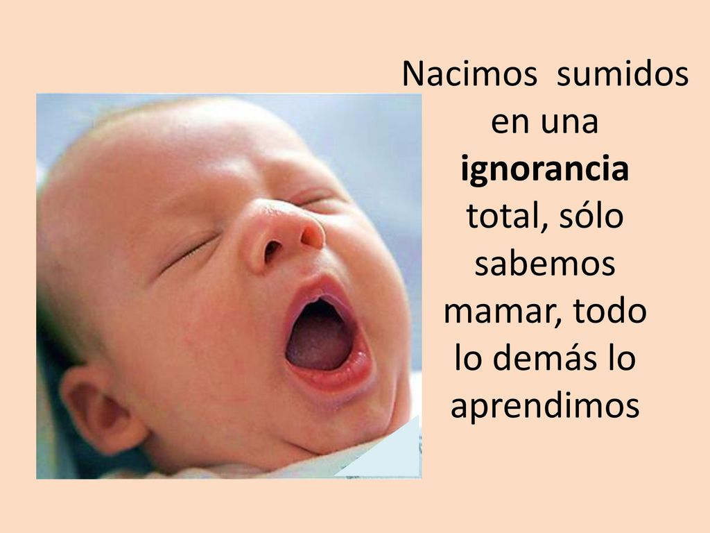 Nacimos sumidos en una ignorancia total, sólo sabemos mamar, todo lo demás lo aprendimos