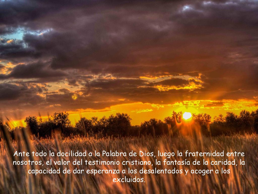 Ante todo la docilidad a la Palabra de Dios, luego la fraternidad entre nosotros, el valor del testimonio cristiano, la fantasía de la caridad, la capacidad de dar esperanza a los desalentados y acoger a los excluidos.
