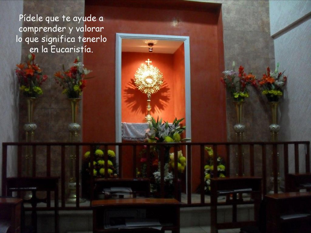 Pídele que te ayude a comprender y valorar lo que significa tenerlo en la Eucaristía.