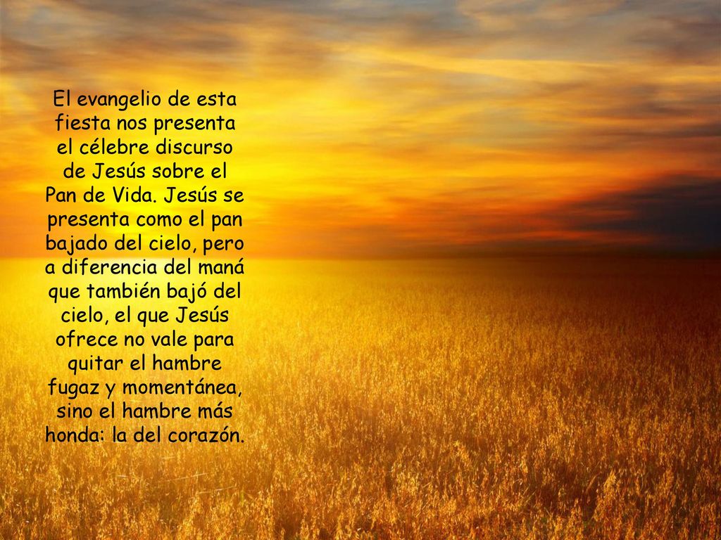 El evangelio de esta fiesta nos presenta el célebre discurso de Jesús sobre el Pan de Vida.