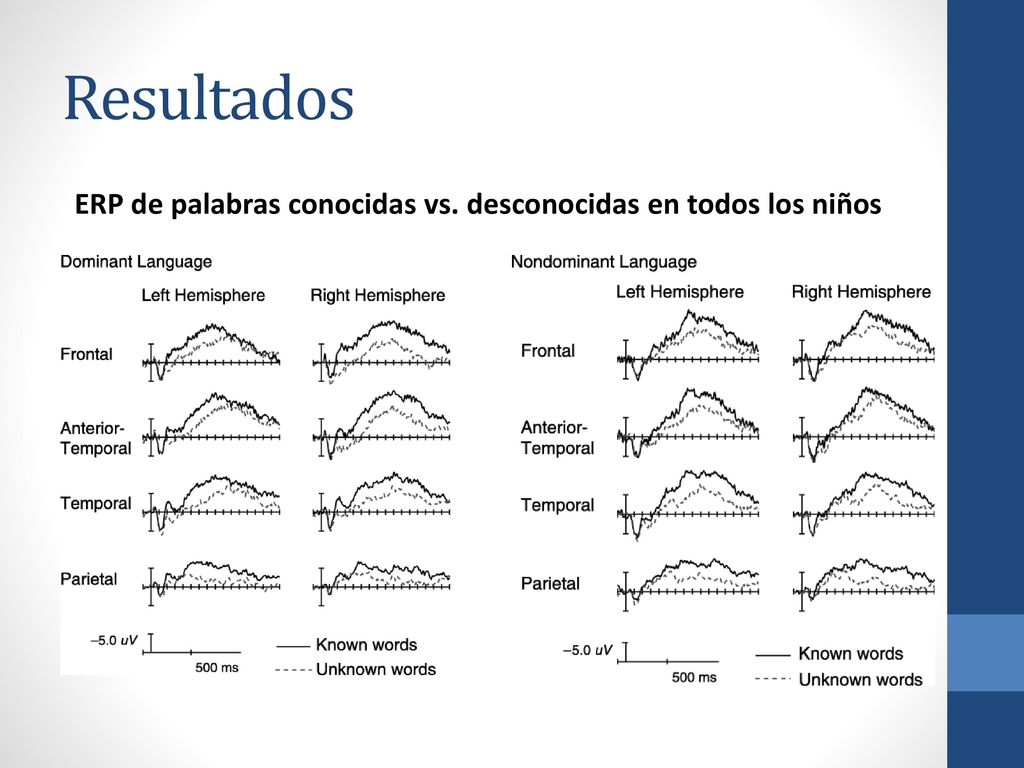 Resultados ERP de palabras conocidas vs. desconocidas en todos los niños