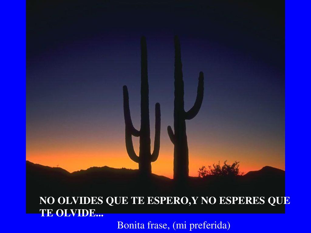 NO OLVIDES QUE TE ESPERO,Y NO ESPERES QUE TE OLVIDE...