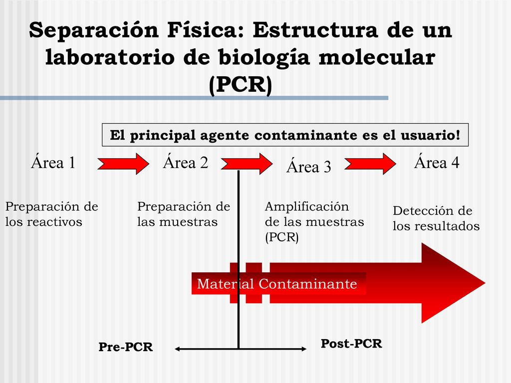 Técnicas de Biología Molecular aplicadas a Bioquímica Clínica - ppt  descargar