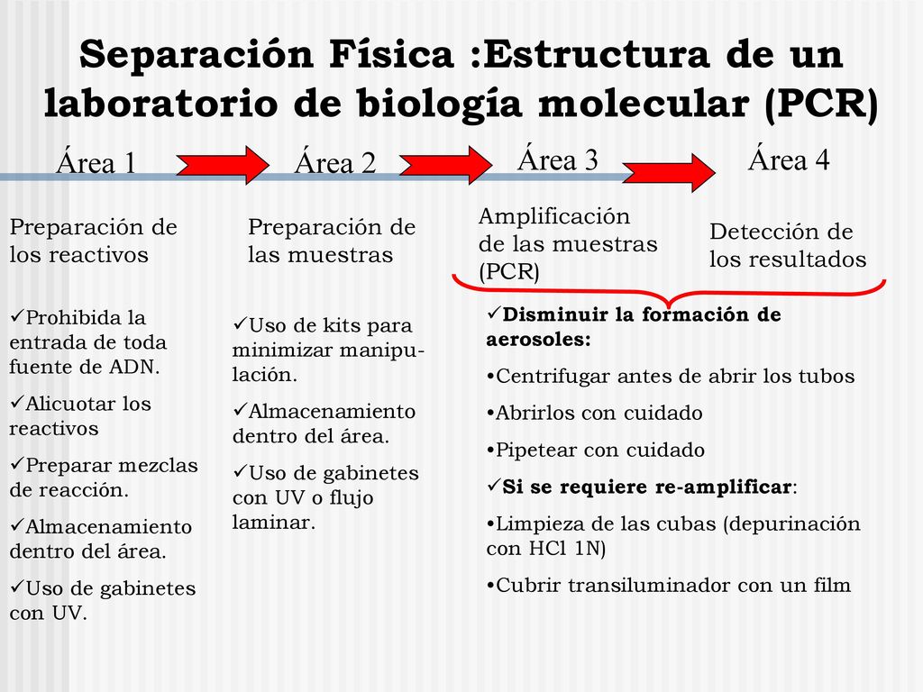 Separación Física :Estructura de un laboratorio de biología molecular (PCR)