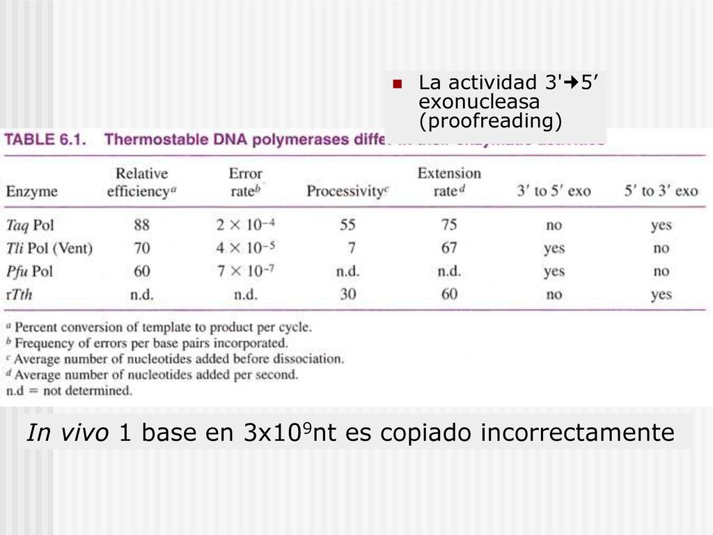 In vivo 1 base en 3x109nt es copiado incorrectamente
