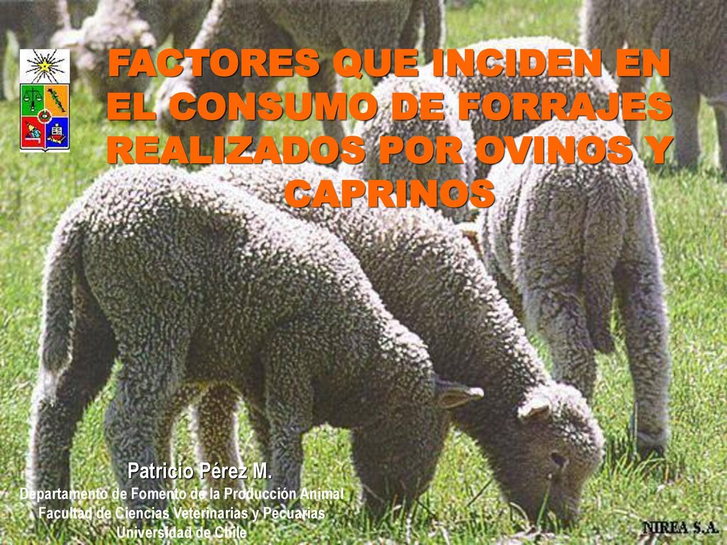 FACTORES QUE INCIDEN EN EL CONSUMO DE FORRAJES REALIZADOS POR OVINOS Y CAPRINOS