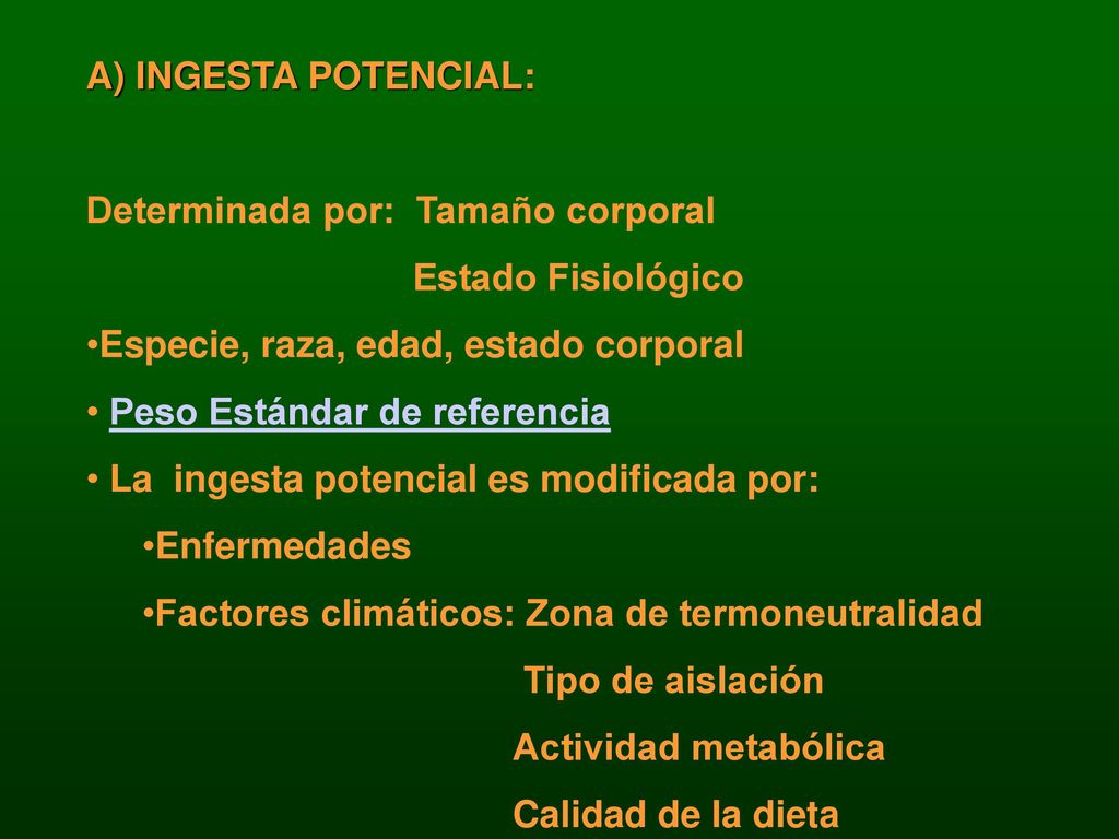 A) INGESTA POTENCIAL: Determinada por: Tamaño corporal. Estado Fisiológico. Especie, raza, edad, estado corporal.