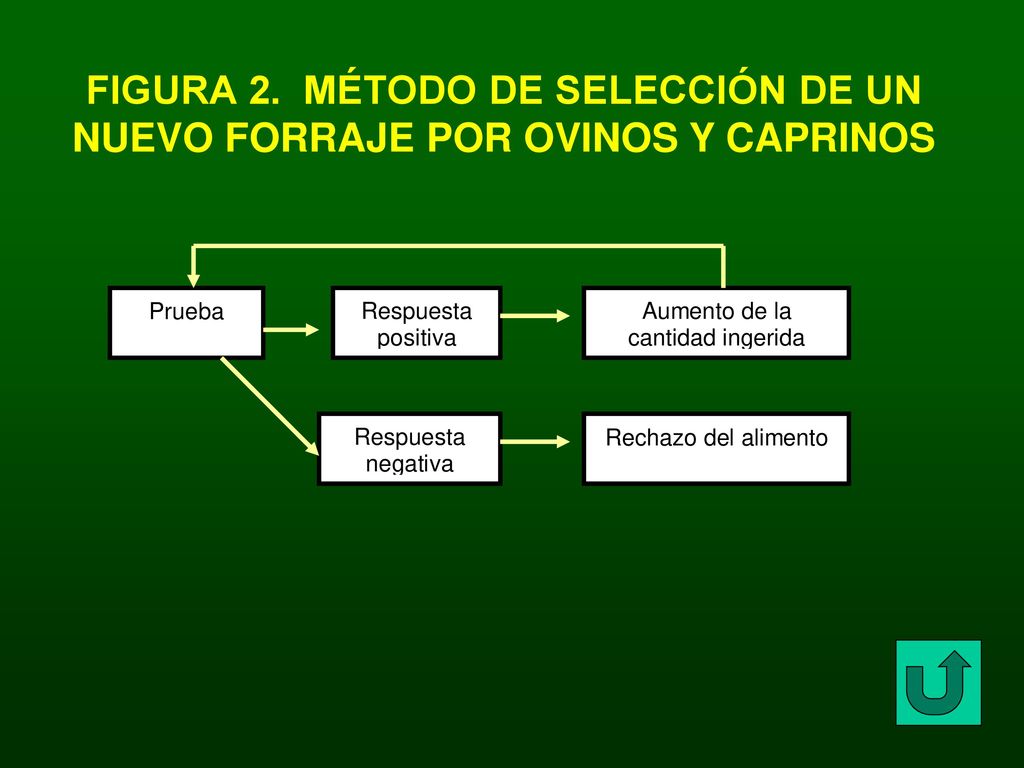 FIGURA 2. MÉTODO DE SELECCIÓN DE UN NUEVO FORRAJE POR OVINOS Y CAPRINOS