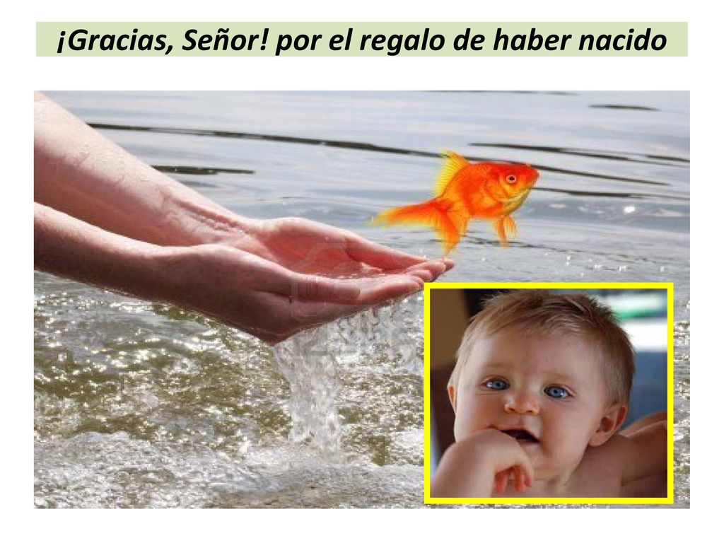¡Gracias, Señor! por el regalo de haber nacido