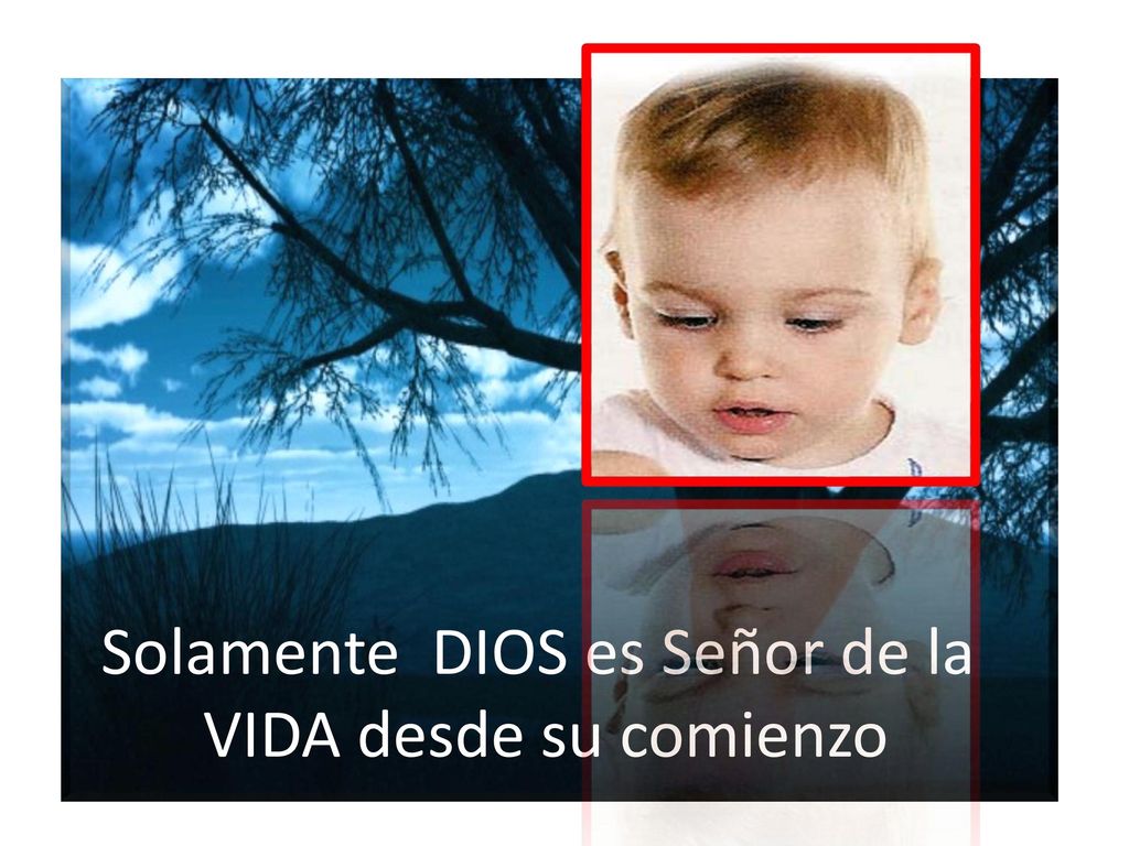 Solamente DIOS es Señor de la VIDA desde su comienzo