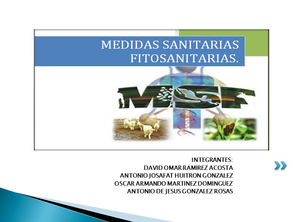 INTEGRANTES: DAVID OMAR RAMIREZ ACOSTA. ANTONIO JOSAFAT HUITRON GONZALEZ. OSCAR ARMANDO MARTINEZ DOMINGUEZ.