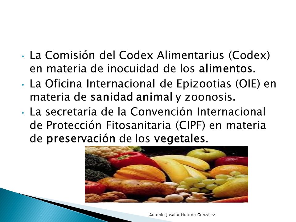 La Comisión del Codex Alimentarius (Codex) en materia de inocuidad de los alimentos.