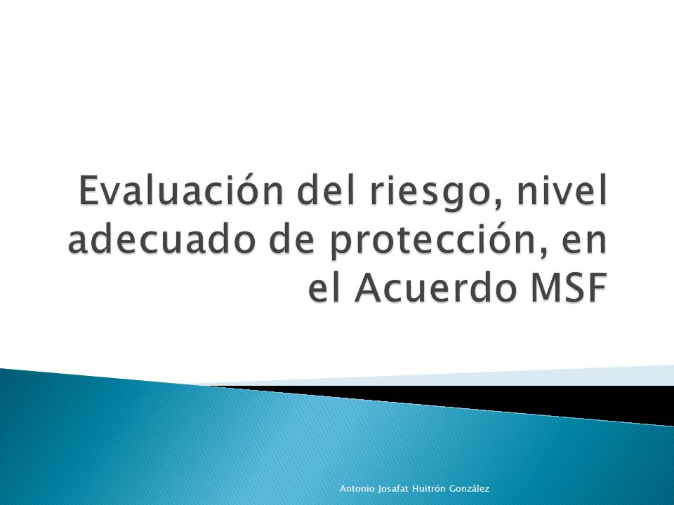 Evaluación del riesgo, nivel adecuado de protección, en el Acuerdo MSF