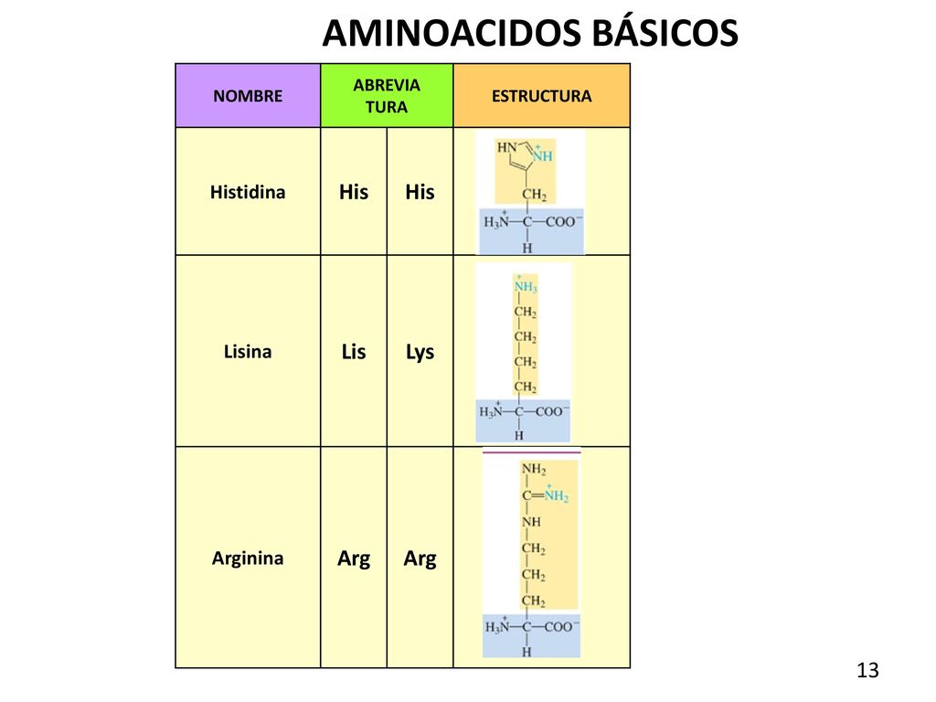 AMINOACIDOS BÁSICOS His Lis Lys Arg Histidina Lisina Arginina NOMBRE