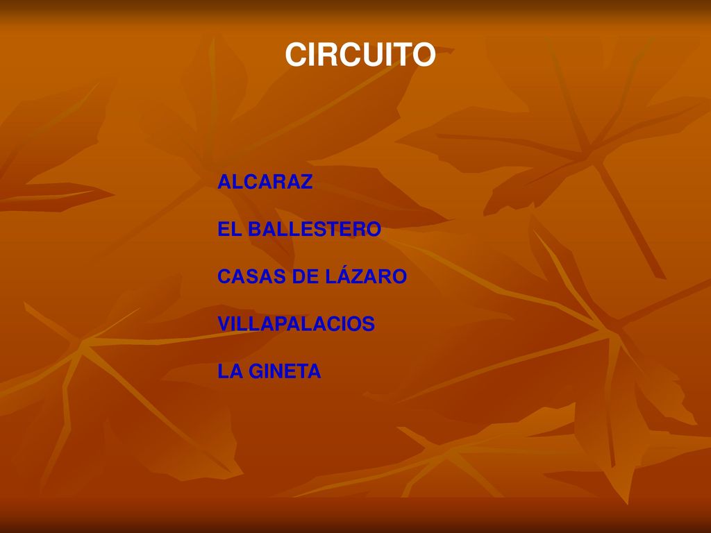 CIRCUITO ALCARAZ EL BALLESTERO CASAS DE LÁZARO VILLAPALACIOS LA GINETA