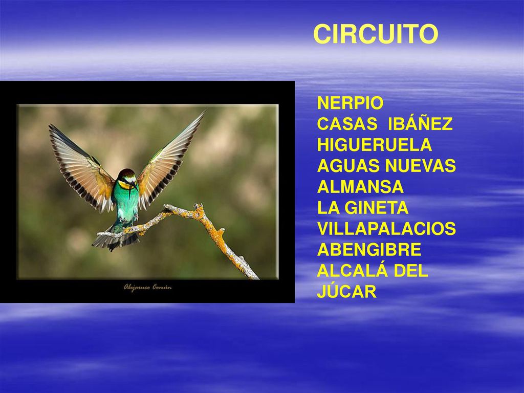 CIRCUITO NERPIO CASAS IBÁÑEZ HIGUERUELA AGUAS NUEVAS ALMANSA LA GINETA