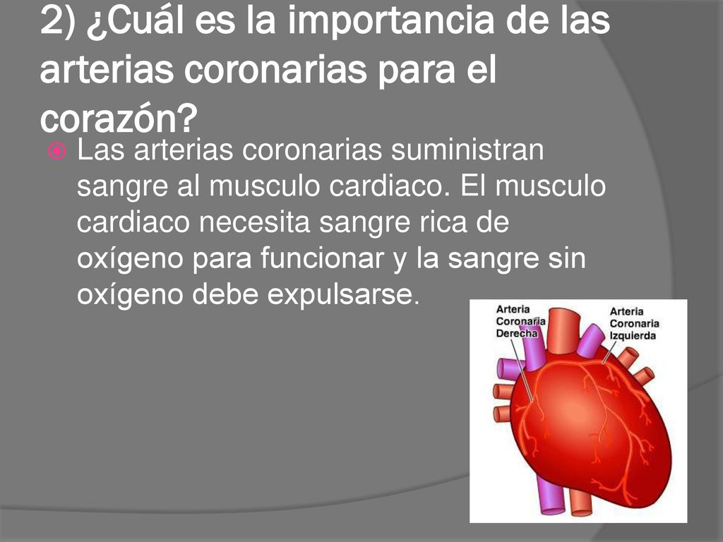 2) ¿Cuál es la importancia de las arterias coronarias para el corazón