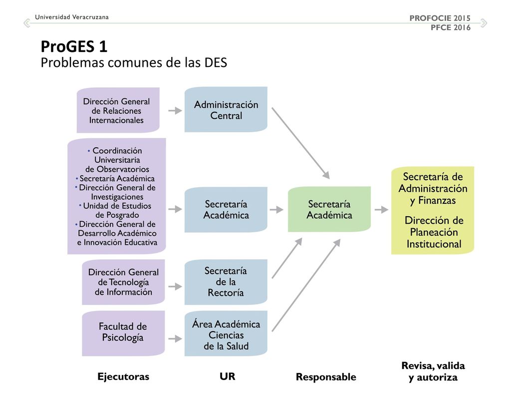 PROFOCIE 2015 PFCE 2016 ProGES 1 Problemas comunes de las DES