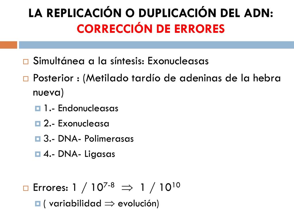 LA REPLICACIÓN O DUPLICACIÓN DEL ADN: CORRECCIÓN DE ERRORES