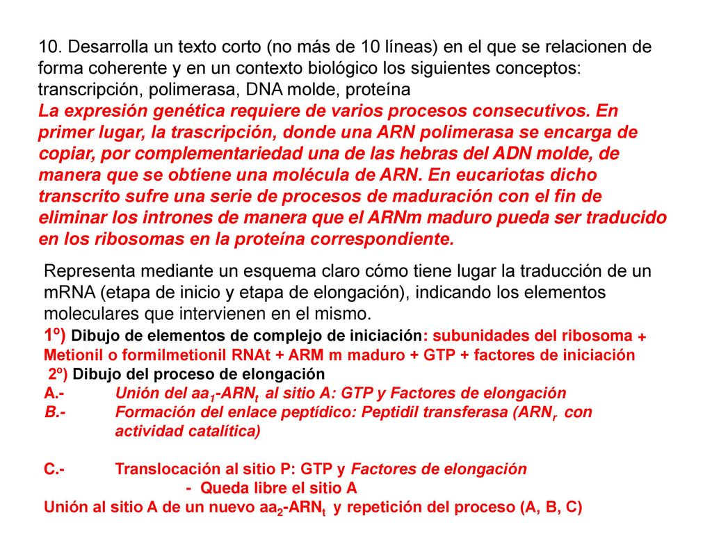 10. Desarrolla un texto corto (no más de 10 líneas) en el que se relacionen de forma coherente y en un contexto biológico los siguientes conceptos: transcripción, polimerasa, DNA molde, proteína