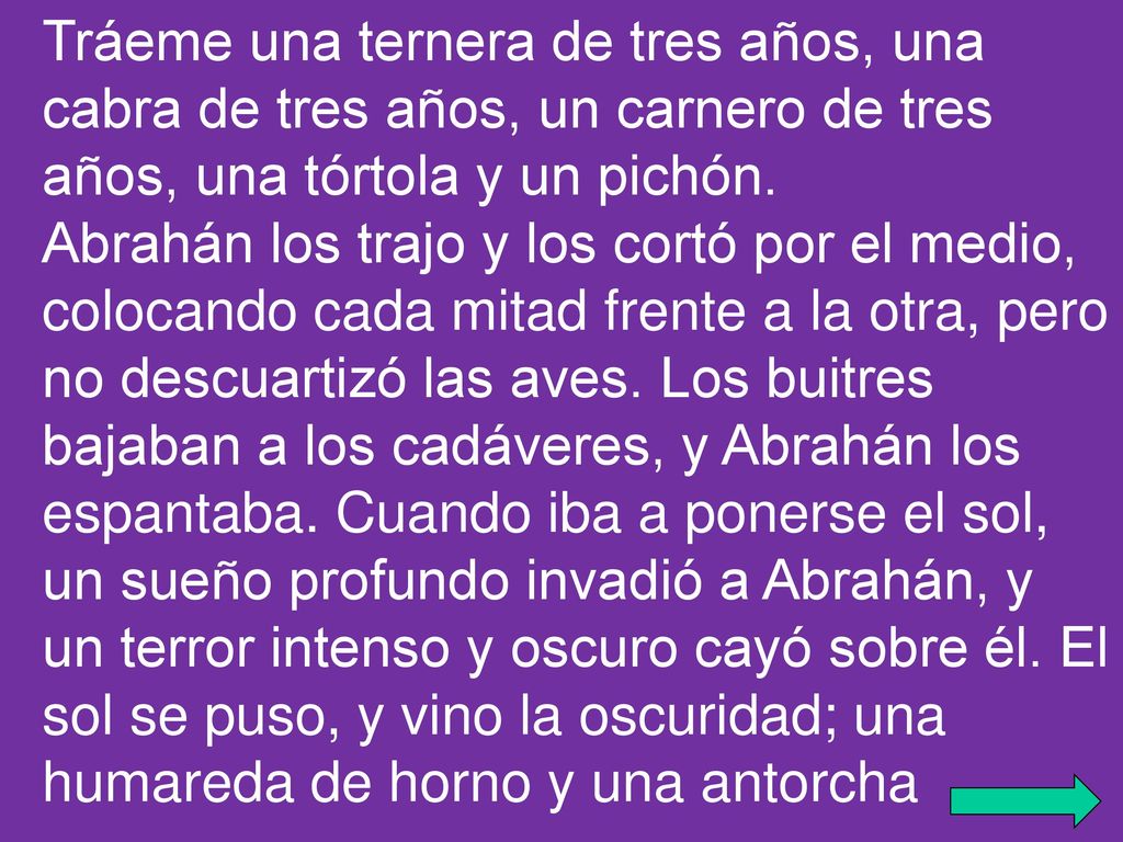 Tráeme una ternera de tres años, una cabra de tres años, un carnero de tres años, una tórtola y un pichón.