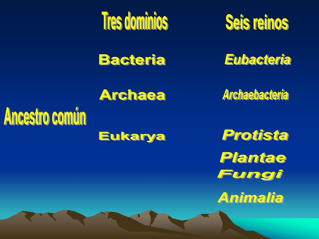 Tres dominios Seis reinos. Bacteria. Eubacteria. Archaea. Archaebacteria. Ancestro común. Protista.