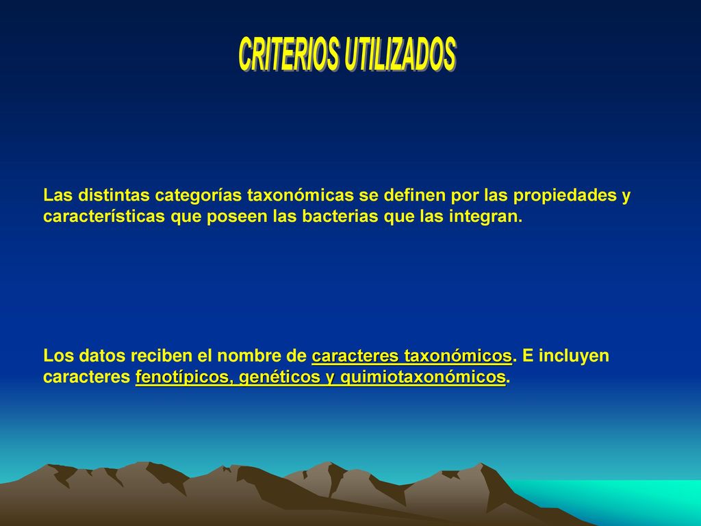 CRITERIOS UTILIZADOS Las distintas categorías taxonómicas se definen por las propiedades y características que poseen las bacterias que las integran.