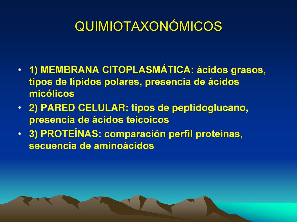 QUIMIOTAXONÓMICOS 1) MEMBRANA CITOPLASMÁTICA: ácidos grasos, tipos de lípidos polares, presencia de ácidos micólicos.