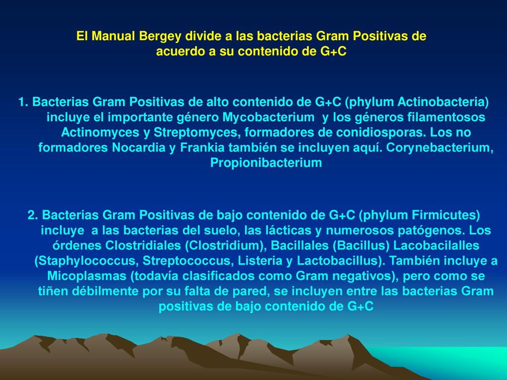 El Manual Bergey divide a las bacterias Gram Positivas de acuerdo a su contenido de G+C