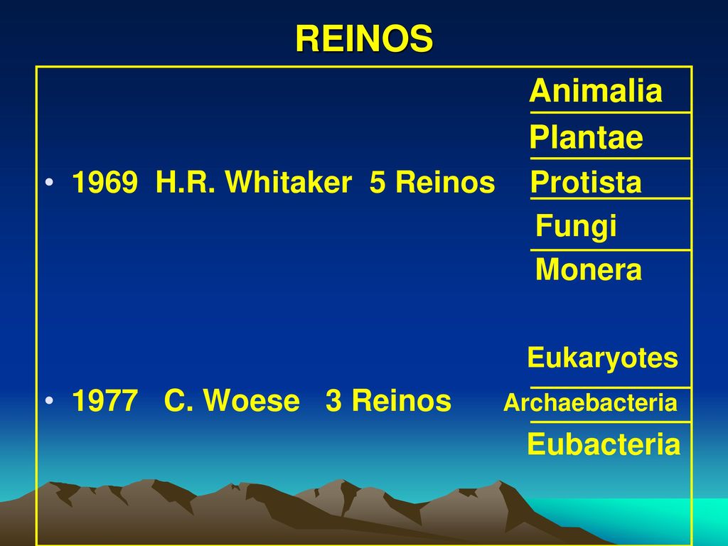 REINOS Animalia Plantae 1969 H.R. Whitaker 5 Reinos Protista Fungi