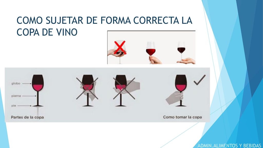 COMO SUJETAR DE FORMA CORRECTA LA COPA DE VINO