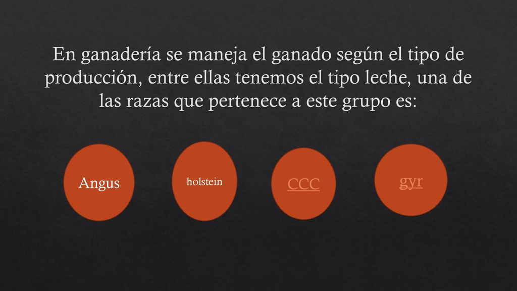 En ganadería se maneja el ganado según el tipo de producción, entre ellas tenemos el tipo leche, una de las razas que pertenece a este grupo es: