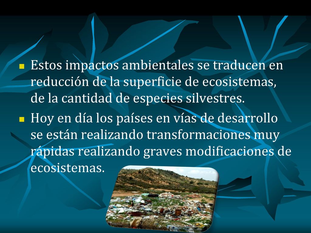 Estos impactos ambientales se traducen en reducción de la superficie de ecosistemas, de la cantidad de especies silvestres.
