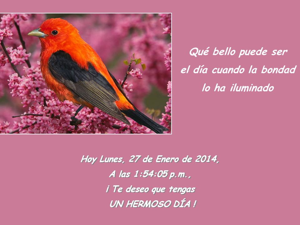 Qué bello puede ser el día cuando la bondad lo ha iluminado