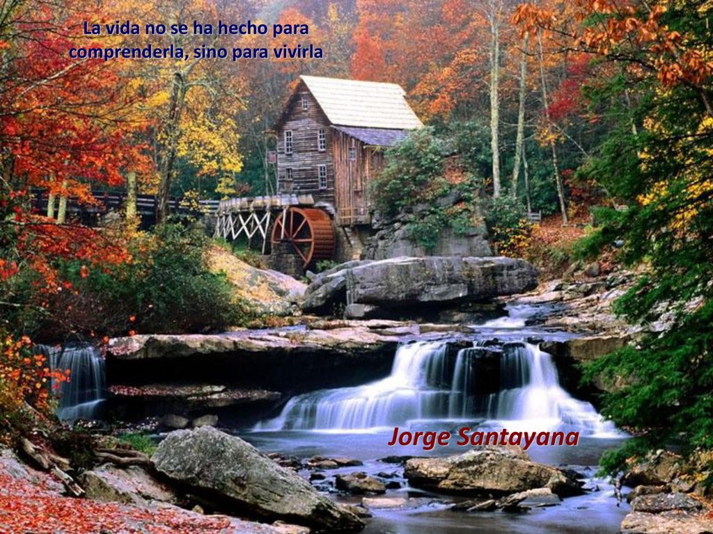 La vida no se ha hecho para comprenderla, sino para vivirla