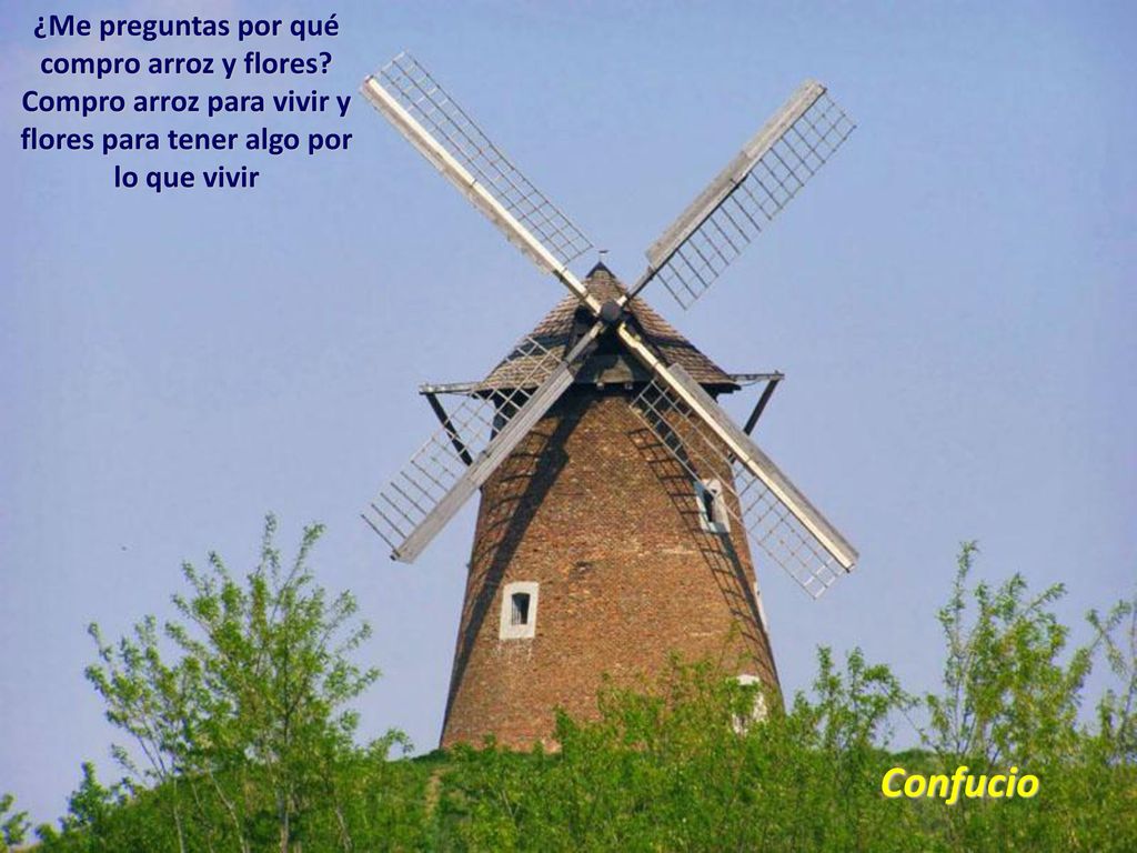 Confucio ¿Me preguntas por qué compro arroz y flores