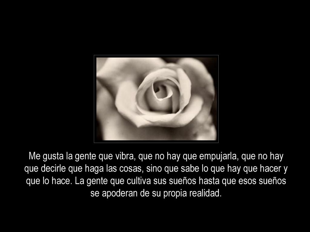 Me gusta la gente que vibra, que no hay que empujarla, que no hay que decirle que haga las cosas, sino que sabe lo que hay que hacer y que lo hace.