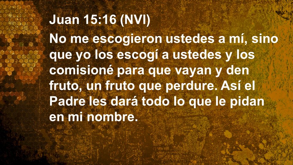 Widescreen 16:9 Juan 15:16 (NVI)