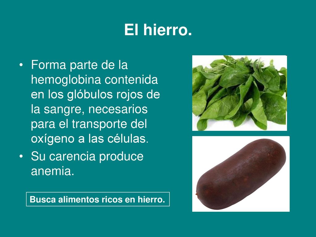 El hierro. Forma parte de la hemoglobina contenida en los glóbulos rojos de la sangre, necesarios para el transporte del oxígeno a las células.