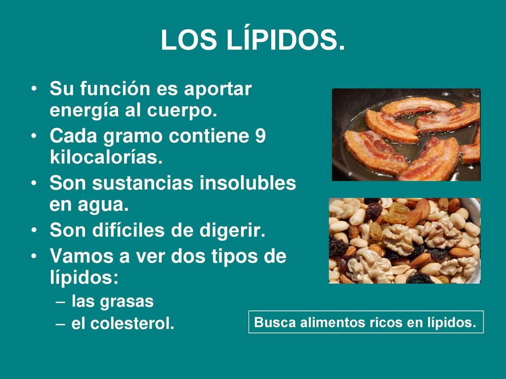 LOS LÍPIDOS. Su función es aportar energía al cuerpo.